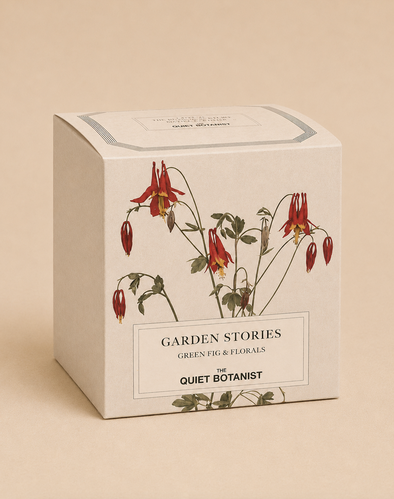 Garden Stories - Green Fig Candle