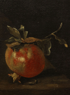 WINTER FRUITS - Limited Edition Pomegranate Soap