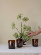 The Botanist Gift Card