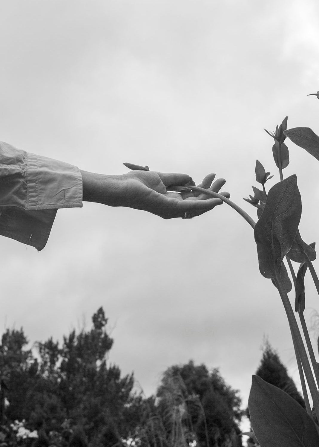 The Botanist Gift Card