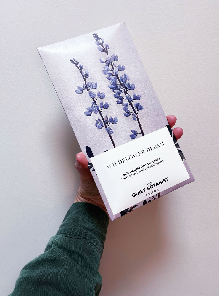 Wildflower Dream - Set of 12 | thequietbotanist