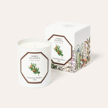 Load image into Gallery viewer, Carriere Freres Scented Candles

