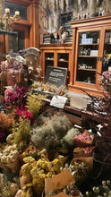 Load image into Gallery viewer, Flowers at Home | thequietbotanist
