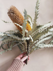 Banksia