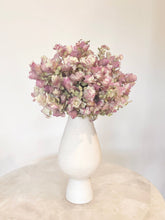 Load image into Gallery viewer, Kent Beauty Oregano | thequietbotanist
