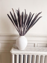 Load image into Gallery viewer, Purple Majesty Millet | thequietbotanist
