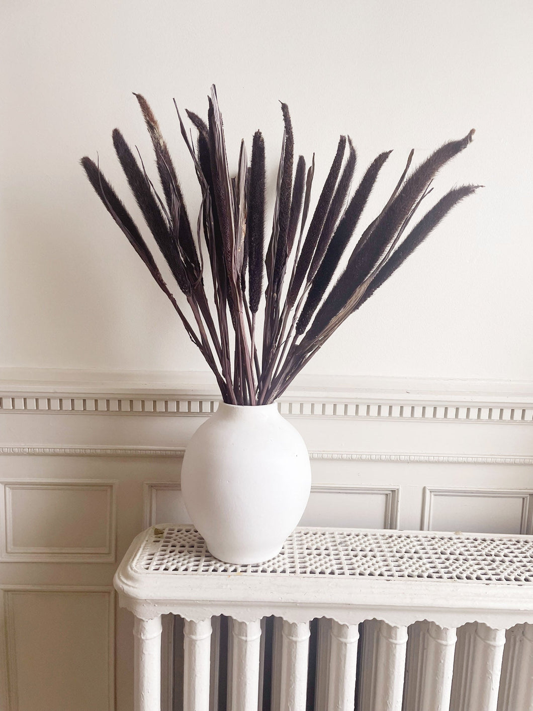 Purple Majesty Millet | thequietbotanist