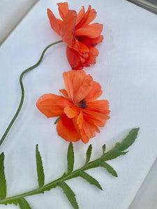 Copy of Pressing Wildflowers - Virtual  Class | thequietbotanist