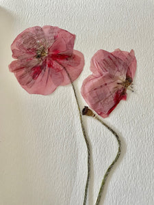 Copy of Pressing Wildflowers - Virtual  Class | thequietbotanist