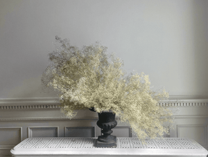 Gypsophila - Baby's Breath. | thequietbotanist