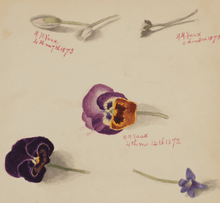 Load image into Gallery viewer, Tea &amp; Flowers at Home - Virtual Class | thequietbotanist
