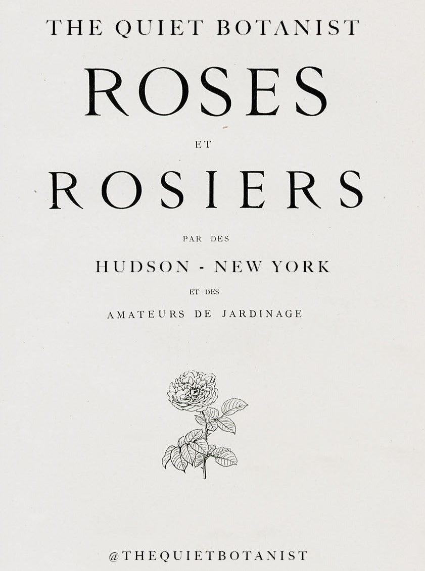 Gift Card thequietbotanist